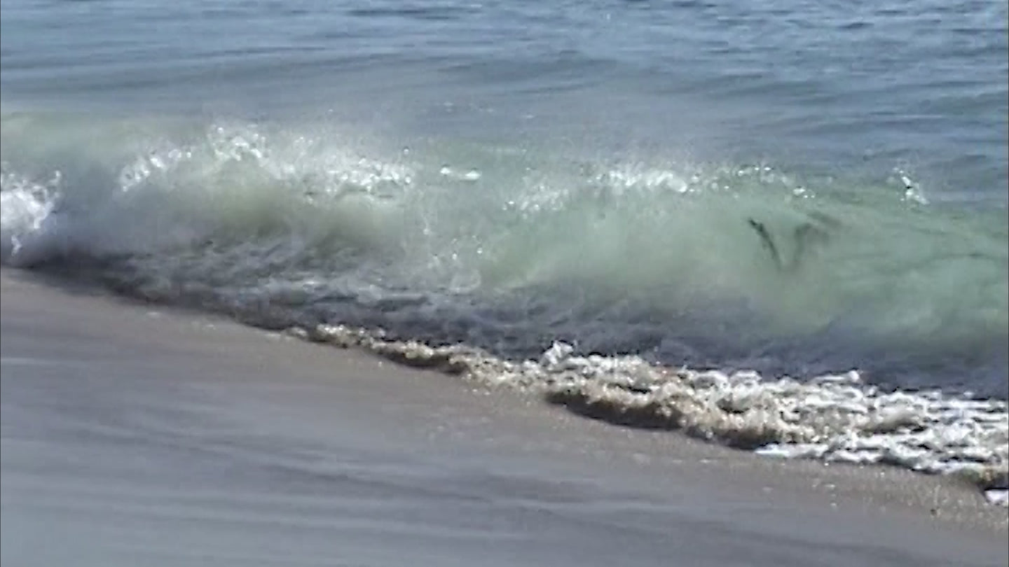 California Ease Meets Parisian Chic